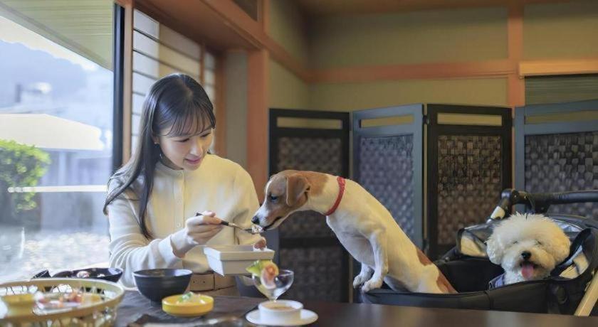 Corredor Yugawara Dog＆Resort Atami  Exterior photo